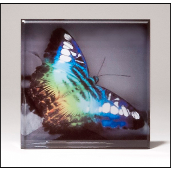 Sublimatable Acrylic Paperweight Sublimatable Acrylic Paperweight