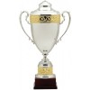 Silver Metal Cup Trophy 