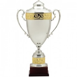 Silver Metal Cup Trophy 