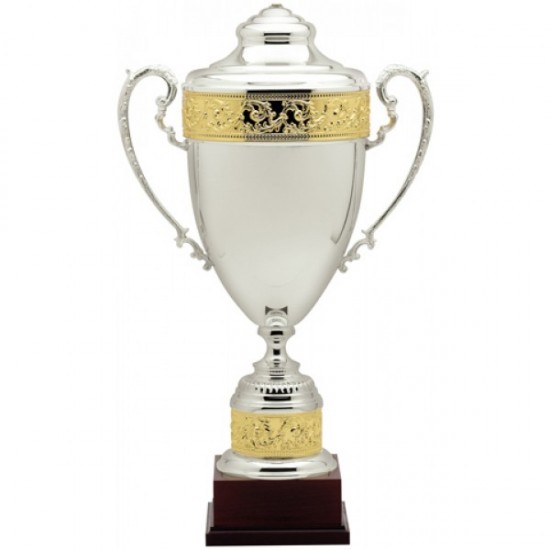 Silver Metal Cup Trophy 