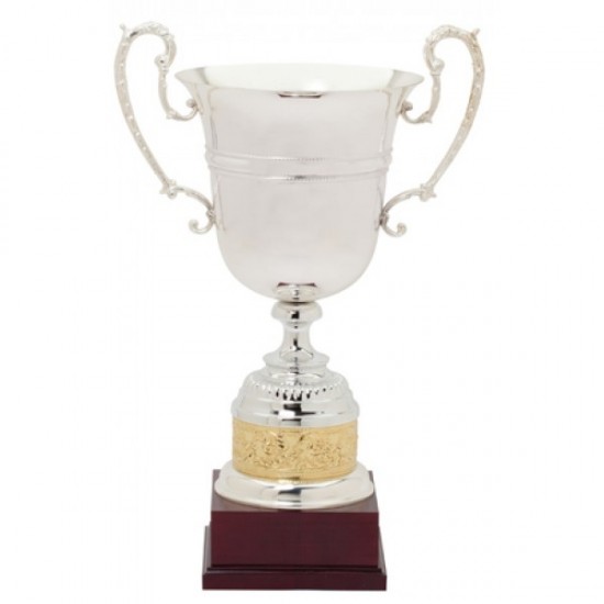 Silver Metal Cup Trophy