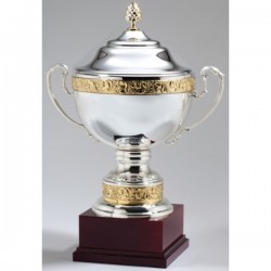 Silver Metal Cup Trophy