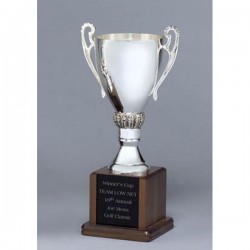 Silver-plated trophy Cup 