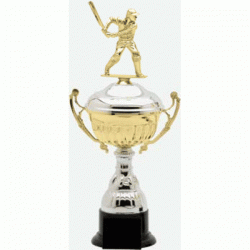 Metal Cup Trophy