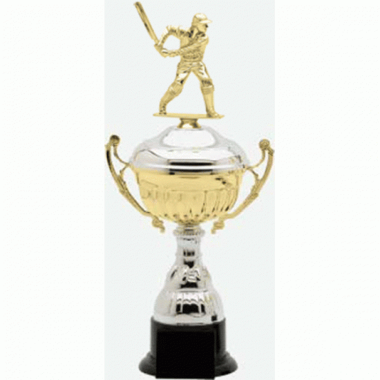 Metal Cup Trophy