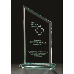 Zenith Series Glass Award