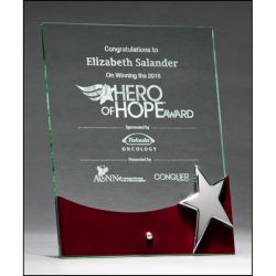 Free standing glass award with high gloss rosewood accent and silver star