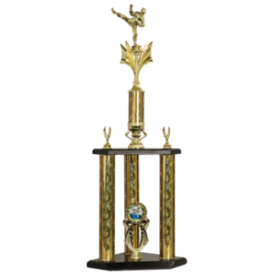 3 Post Martial Arts Trophy