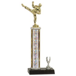 Male Martial Arts Trophy