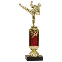 Martial Arts Trophy