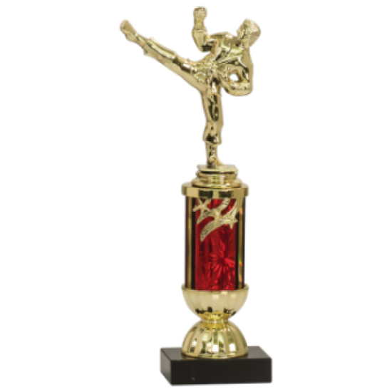 Martial Arts Trophy