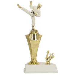 Star Column Riser Martial Arts Trophy