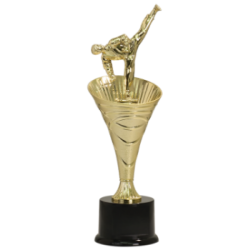 Rising Swirl Riser Martial Arts Trophy