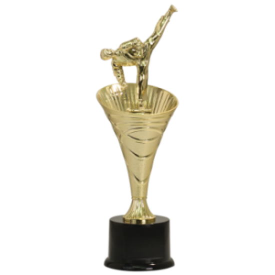 Rising Swirl Riser Martial Arts Trophy