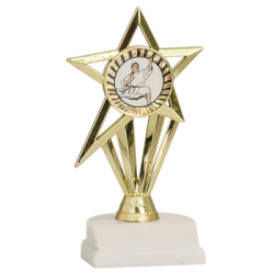 Shooting Star 2" Holder Martial Arts Trophy