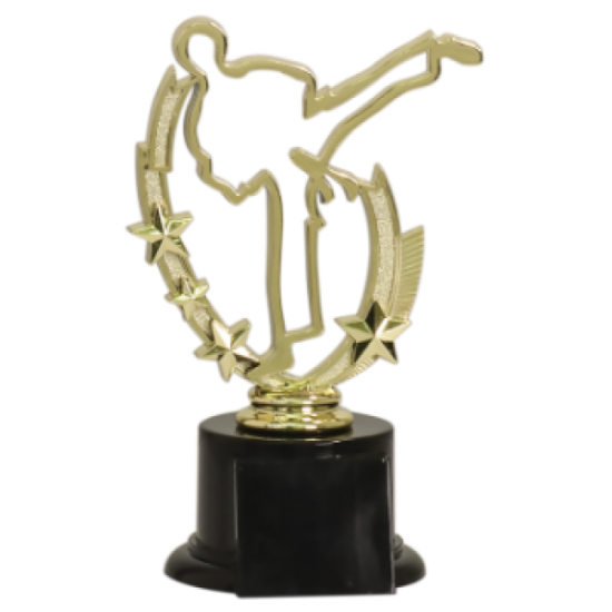 Profile Martial Arts Trophy