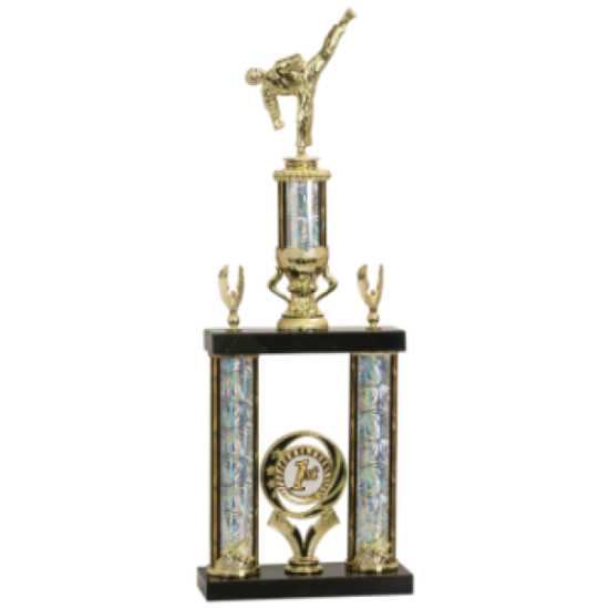 2 Post Martial Arts Trophy