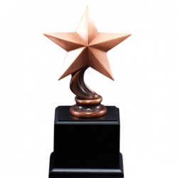 Eagle Award (RFB012)