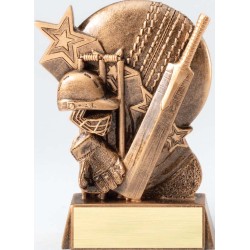 Hype Sports cricket Trophy