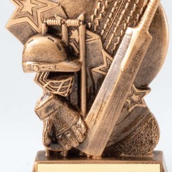 Hype Sports cricket Trophy
