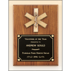 Emergency medical award with antique bronze finish casting.