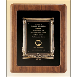 Solid American walnut plaque with an antique bronze casting on choice of velour backgrounds.