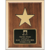 Solid American walnut plaque with black recessed area and gold aluminum star.