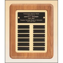 Solid American walnut Airflyte frame perpetual plaque 