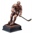 Hockey Trophies