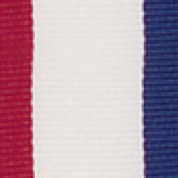 Tri Color Series Medal