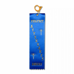 STRB11C - Perfect Attendance Stock Carded Ribbon